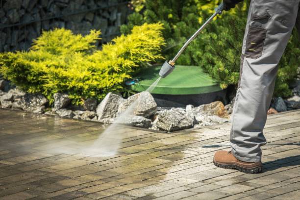 Best Pool Deck Cleaning  in Black Point Green Point, CA