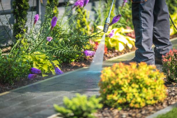 Best Parking Lot and Garage Cleaning  in Black Point Green Point, CA