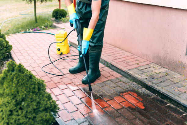 Best Building Exterior Washing  in Black Point Green Point, CA